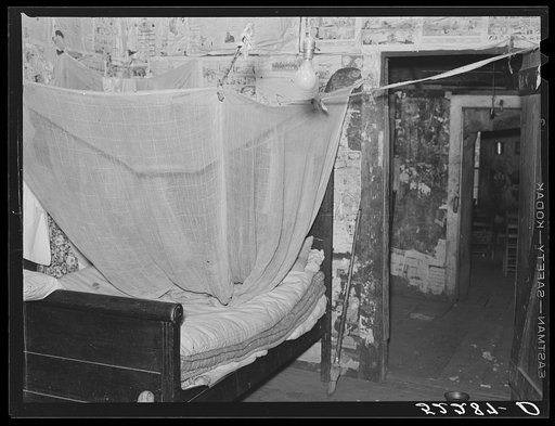 Interior of Negro tenant's home showing mosquito netting over bed. Mileston Plantation, Mississippi