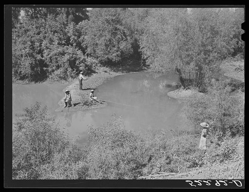 Untitled photo, possibly related to: Negroes fishing in creek near cotton plantations outside Belzoni. Mississippi Delta, Mississippi
