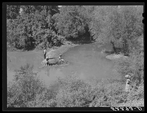 Negroes fishing in creek near cotton plantations outside Belzoni. Mississippi Delta, Mississippi