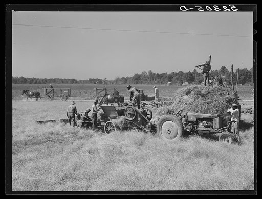 Baling hay. Marcella Plantation, Mileston, Mississippi Delta, Mississippi
