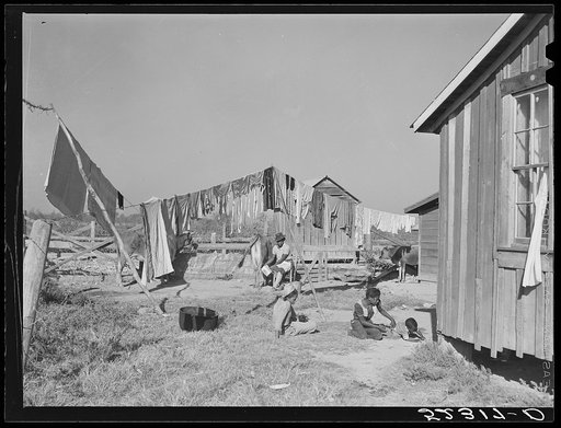 Backyard of Negro tenants' home. Marcella Plantation, Mileston, Mississippi Delta, Mississippi