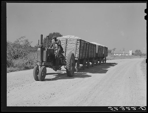 Tractor for hauling four wagons of cotton holding bales to the gin. Good Hope Plantation. Mileston, Mississippi