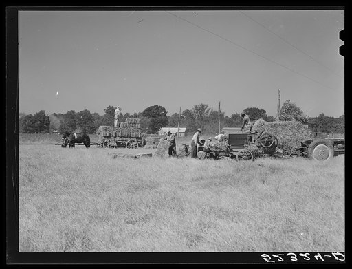 Untitled photo, possibly related to: Baling hay. Marcella Plantation, Mileston, Mississippi Delta, Mississippi