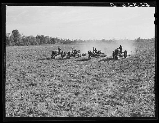 Tractors preparing land for planting oats in the fall after the cotton has been picked and the stalks plowed up. Good Hope Plantation, Mileston, Mississippi