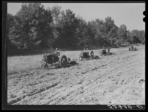 Tractors preparing land for planting oats in the fall after the cotton has been picked and the stalks plowed. Good Hope Plantation, Mileston, Mississippi