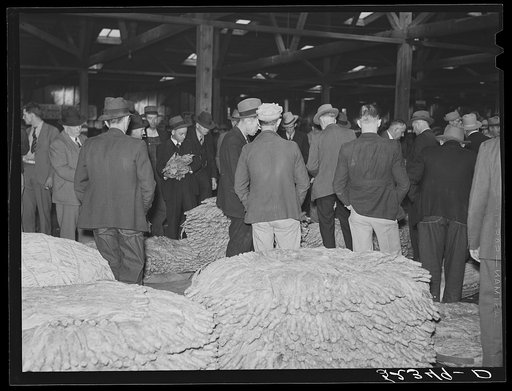 Auction sale in tobacco warehouse. Durham, North Carolina