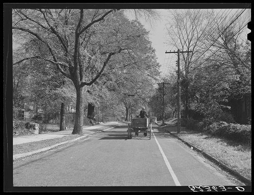 Untitled photo, possibly related to: Street in Chapel Hill, North Carolina