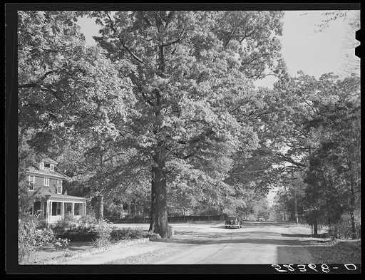 Street in Chapel Hill, North Carolina