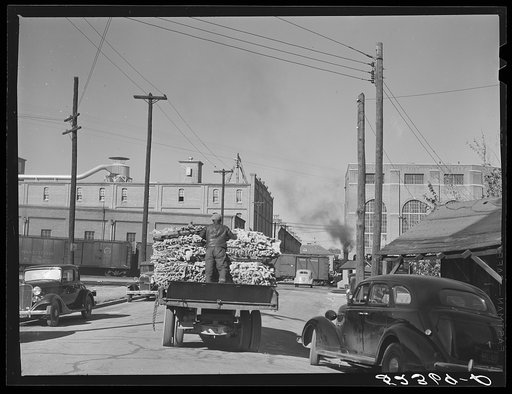 Tobacco is taken in trucks after auction sale from warehouse to the Chesterfield factory. Durham, North Carolina