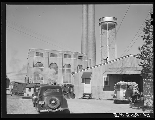 Tobacco is taken in trucks after auction sale from warehouse to the Chesterfield factory. Durham, North Carolina