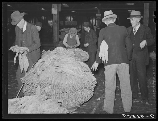 Farmers examine each others' tobacco to see what price it has brought after auction sale in warehouse. Durham, North Carolina