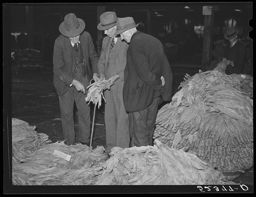Farmers examine each others' tobacco to see what price it has brought after auction sale in warehouse. Durham, North Carolina