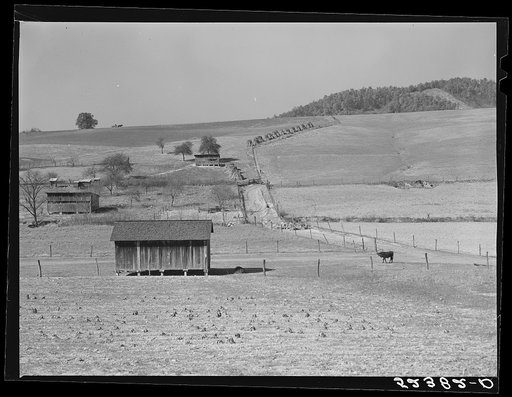 Untitled photo, possibly related to: Farm and general landscape, Tennessee