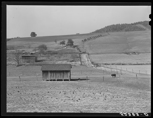 Farm and general landscape, Tennessee