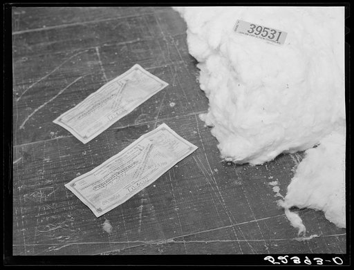 Untitled photo, possibly related to: After the cotton has been trimmed the bale is sent to a warehouse which gives a receipt to the farmer. This represents cash and can be used as such. Each bale is numbered in the warehouse and a sample is cut and one of the numbers torn off the ticket and they are