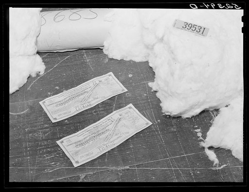 After the cotton has been trimmed the bale is sent to a warehouse which gives a receipt to the farmer. This represents cash and can be used as such. Each bale is numbered in the warehouse and a sample is cut and one of the numbers torn off the ticket and they are both then sent to the cotton factory