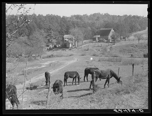 Untitled photo, possibly related to: General farm scene near Smokey Mountains, Tennessee