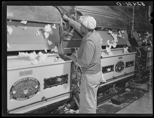 Removing the seed from cotton gin on Hopson Plantation. Clarksdale, Mississippi