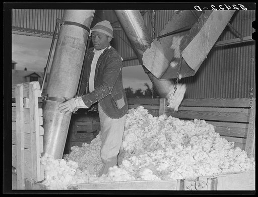 Taking the cotton from the truck into the gin through large metal suction tube. Hopson plantation, Clarksdale, Mississippi