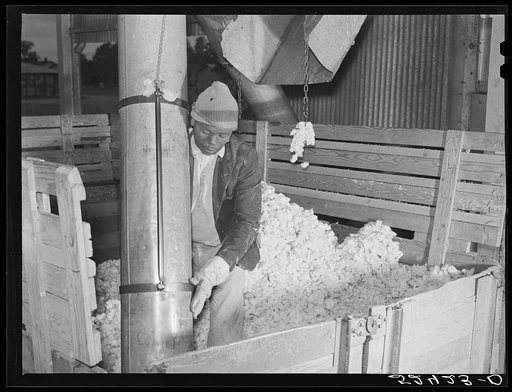 Untitled photo, possibly related to: Taking the cotton from the truck into the gin through large metal suction tube. Hopson plantation, Clarksdale, Mississippi