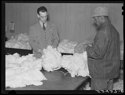 Negro farmer brings his cotton samples to the cotton broker. Clarksdale, Mississippi Delta