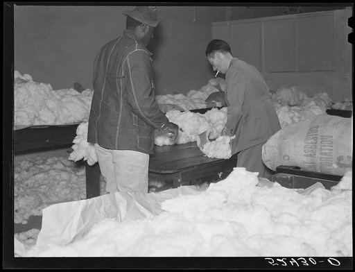 Untitled photo, possibly related to: Negro farmer brings his cotton samples to the cotton broker. Clarksdale, Mississippi Delta