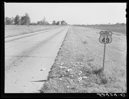 Cotton fallen from wagons on way to gin along main highway. Mississippi Delta