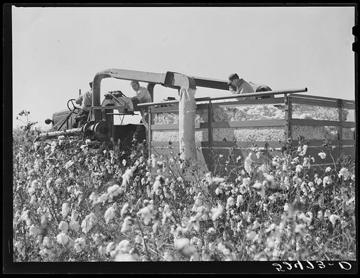 The rust cotton picker in field at Clover Hill Plantation, near Clarksdale, Mississippi Delta