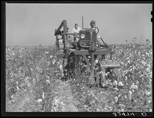 The rust cotton picker in field at Clover Hill Plantation, near Clarksdale, Mississippi Delta