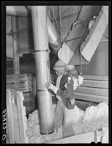 Taking the cotton from the truck into the gin through large metal suction tube. Hopson Plantation, Clarksdale, Mississippi Delta