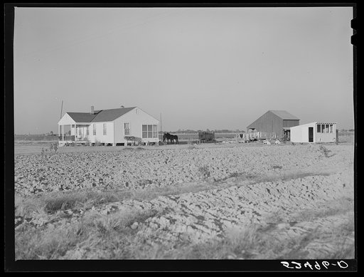 New home, project barn and chicken house on Sunflower Plantation project. Merigold, Mississippi Delta