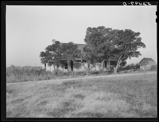 Old abandoned house on Sunflower Plantation project. Merigold, Mississippi Delta