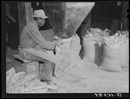 Bagging the cottonseed meal in oil plant. Clarksdale, Mississippi Delta