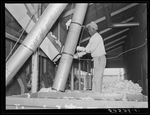 Taking the cotton from the truck into the gin through large metal suction tube. Hopson Plantation, Clarksdale, Mississippi Delta