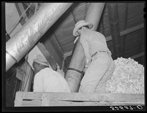 Untitled photo, possibly related to: Mexican day laborer taking the cotton from the truck into the gin through large metal suction tube. Hopson Plantation, Clarksdale, Mississippi Delta