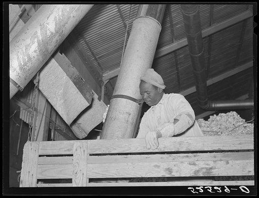 Mexican day laborer taking the cotton from the truck into the gin through large metal suction tube. Hopson Plantation, Clarksdale, Mississippi Delta