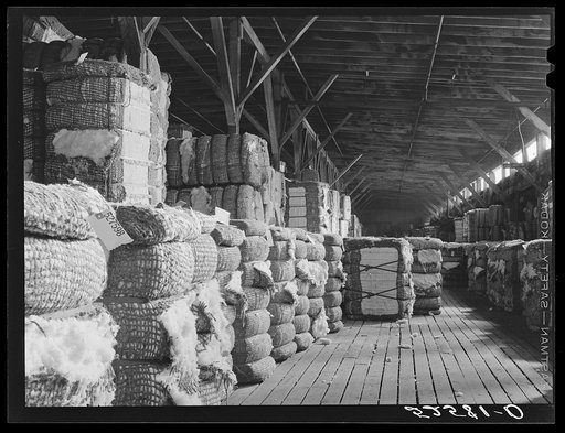 Untitled photo, possibly related to: Cotton after it leaves the gin is taken to the warehouse where it is stored, samples are taken and then it goes to the compress. Memphis, Tennessee