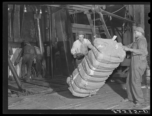 Bale of cotton after compressing. Memphis, Tennessee