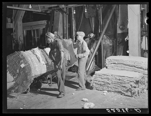 Bale of cotton going into the compress. Memphis, Tennessee
