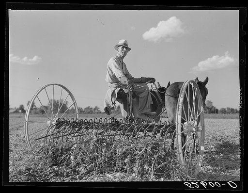 Untitled photo, possibly related to: Mr. Crowell, tenant purchase client, with his hay rake. Near Isola, Mississippi Delta