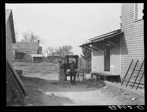 John Newton hauling a sack of Red Dog pig food from the store in Stem. Granville County, North Carolina