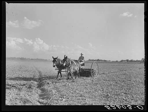 Mr. Crowell, tenant purchase client, with his hay rake. Near Isola, Mississippi Delta