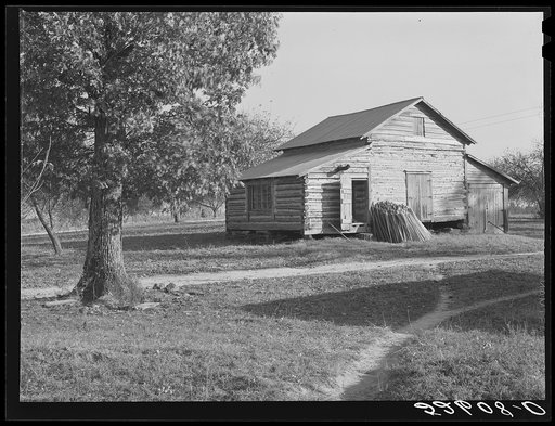 Tobacco strip house and tobacco sticks on property of Fred Wilkins in Tallyho, Stem, North Carolina