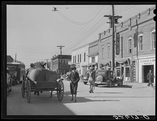 Untitled photo, possibly related to: [Hillsboro] street. Oxford, Granville County, North Carolina