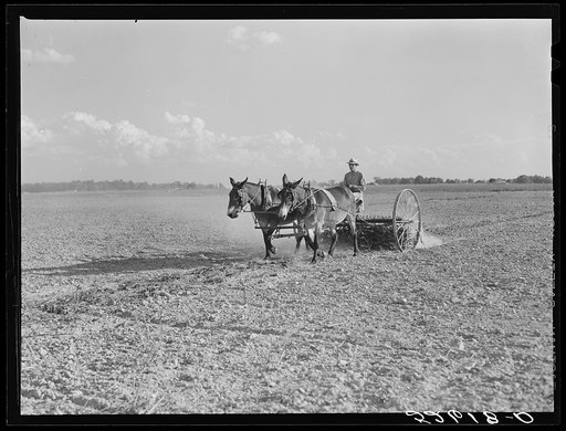 Untitled photo, possibly related to: Mr. Crowell, tenant purchase client, with his hay rake. Near Isola, Mississippi Delta