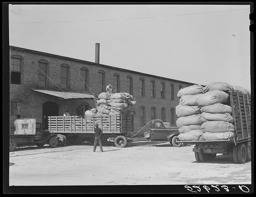 Scrap tobacco plant. Wendell, North Carolina, Wake County