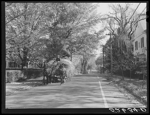 Untitled photo, possibly related to: Street in Chapel Hill, North Carolina. Orange County
