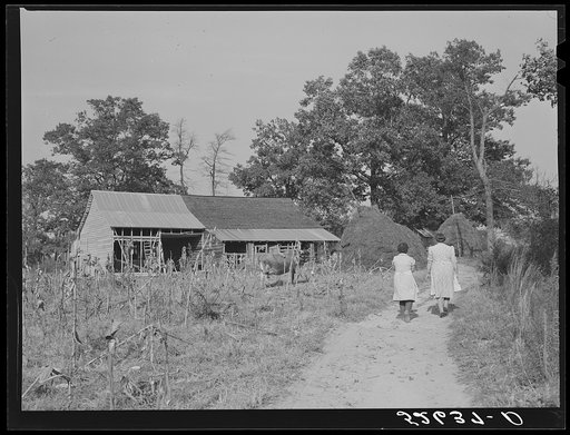 Two women of the Wilkins family by Mrs. Fred Wilkins barn on corn-shucking day. Tallyho, Stem, Granville County, North Carolina