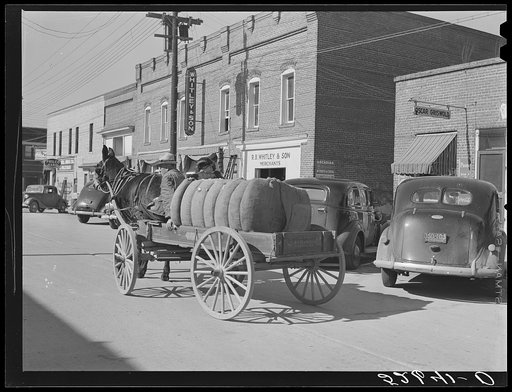 Farmer brings his bale of cotton to town to sell. Wendell, Wake County, North Carolina