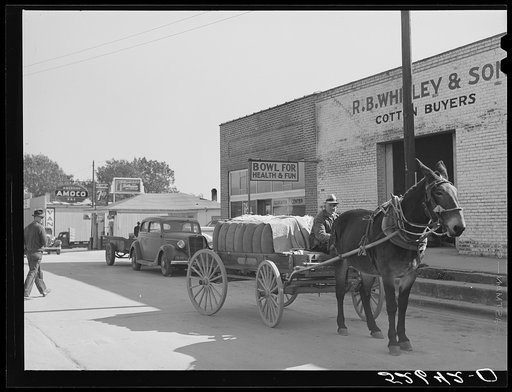 Farmer brings his bale of cotton to town to sell. Wendell, Wake County, North Carolina